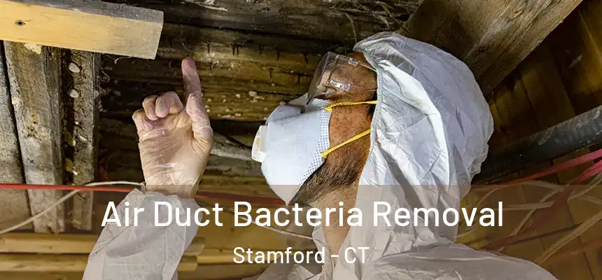  Air Duct Bacteria Removal Stamford - CT