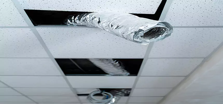 Affordable HVAC Sanitizing After Pest Removal in Stamford