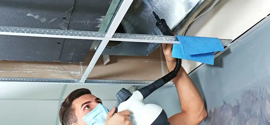 Our Air Duct Rodent Removal Services in Stamford, CT