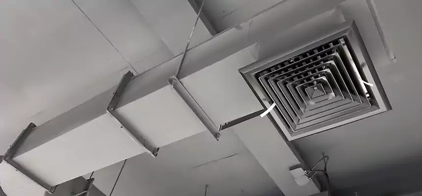 Our Pest Removal From Ducts Services in Stamford, CT