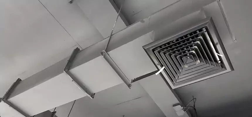 Our Rodent Droppings In Vents Services in Stamford, CT