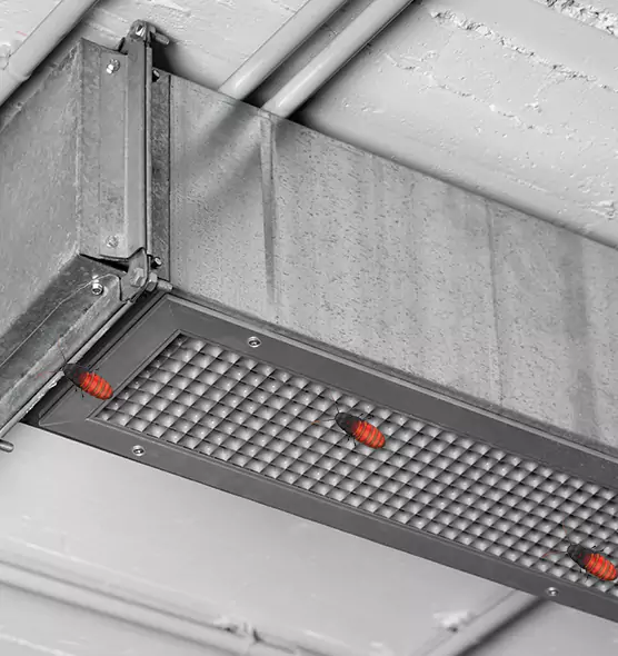 Affordable Insect Removal from Air Ducts in Stamford, CT
