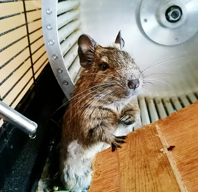 Why Homeowners & Businesses Trust Us Stamford, CT